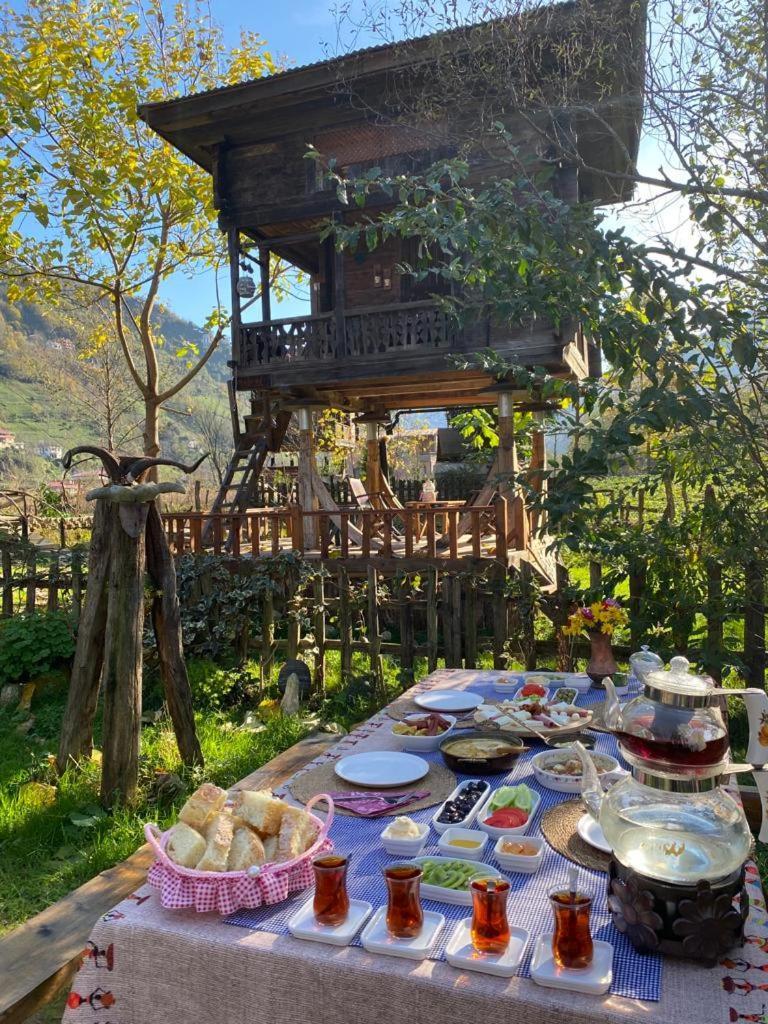 Aparthotel Zeni De Vore Serender & House à Rize Extérieur photo